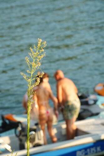 DSC05997.JPG